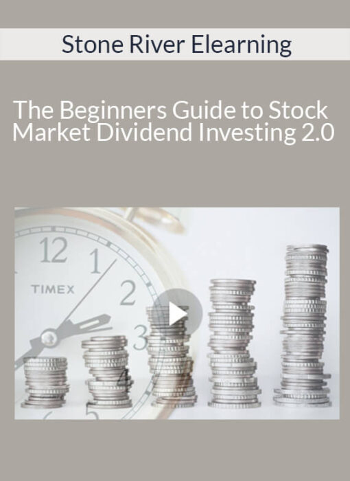 Stone River Elearning - The Beginners Guide to Stock Market Dividend Investing 2.0